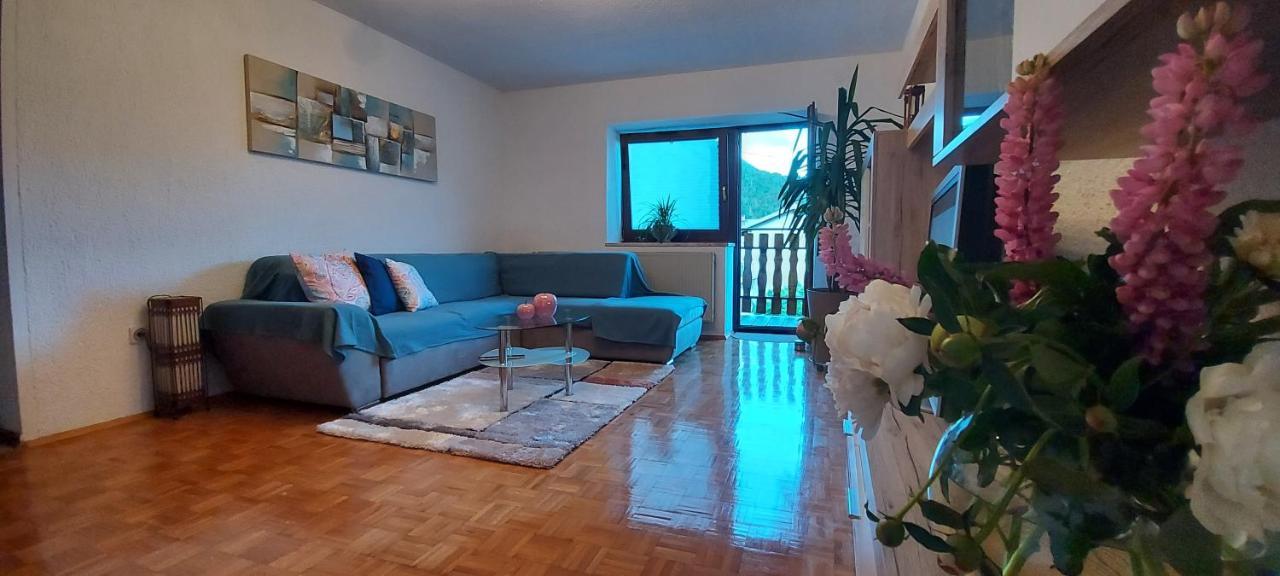 Apartma Pr' Ivani Miskorinovi Breginj Экстерьер фото