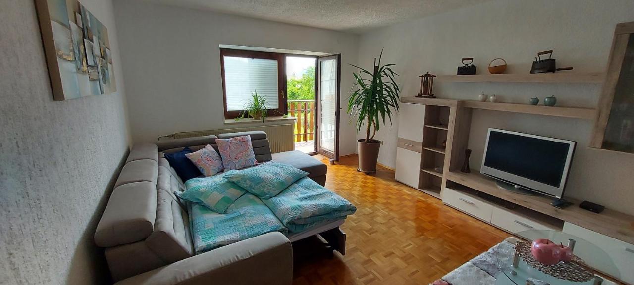 Apartma Pr' Ivani Miskorinovi Breginj Экстерьер фото